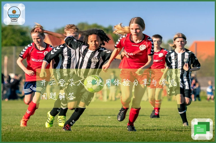 开云登录入口使用体验分享与常见问题解答